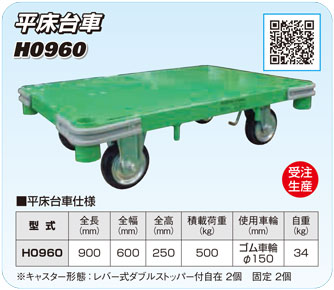 H0960